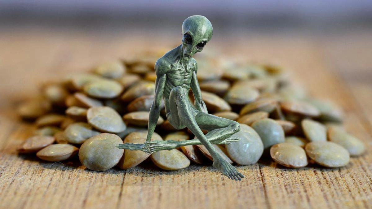 Extraterrestrials Need Lentils Anonymous Program